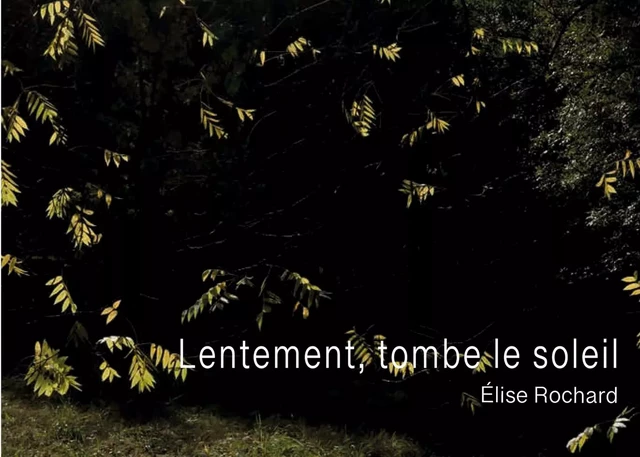 Lentement, tombe le soleil - Élise Rochard - BOOKS ON DEMAND