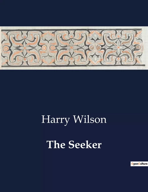 The Seeker - Harry Wilson - CULTUREA