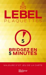 PLAQUETTES BRIDGEZ EN 5 MINUTES