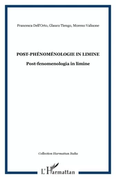 Post-phénoménologie in limine