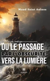 La vie en indigo  ou le passage par l’obscurité  vers la lumière