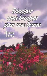 Dissiper mes brumes pour une brune