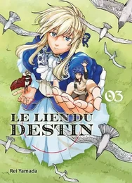 Le lien du destin T03 - FIN