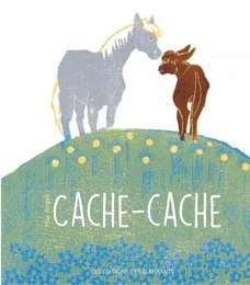 CACHE-CACHE