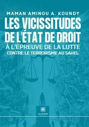 Les vicissitudes de l’État de droit à l’épreuve de la lutte contre le terrorisme au Sahel