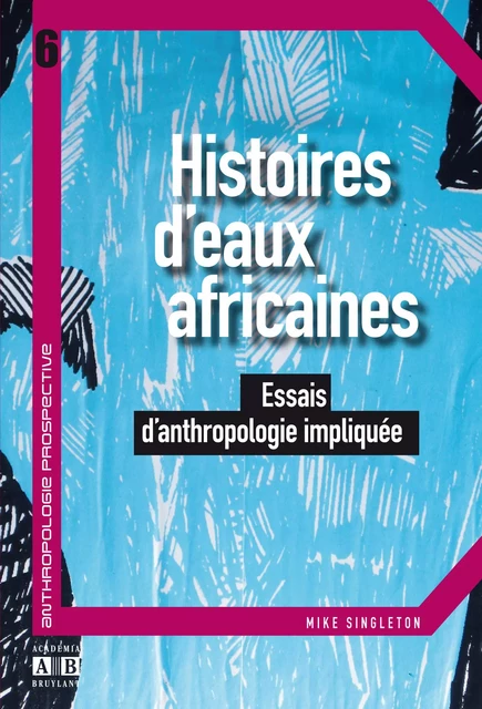 Histoires d'eaux africaines -  - Academia