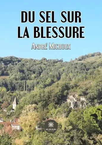 Du sel sur la blessure - Andre Michoux - LE LYS BLEU