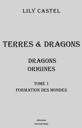 Dragons : Origines 1