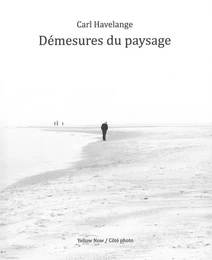 Demesures du Paysage