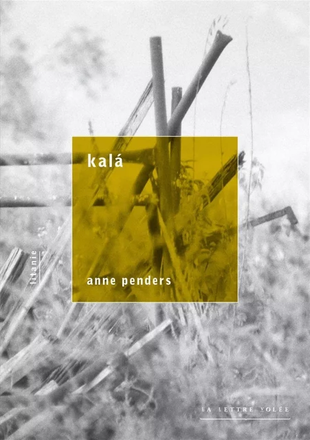 Kala - Anne Penders - La lettre volée