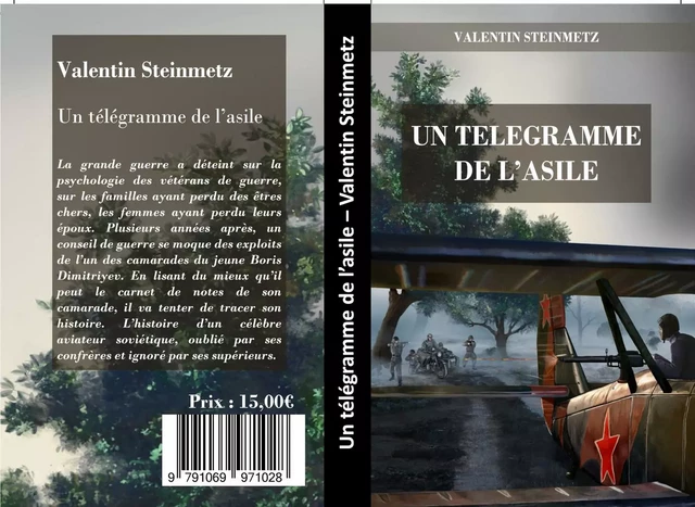 Un télégramme de l'asile - Valentin Steinmetz - STEINMETZ