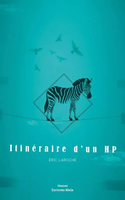 Itinéraire d'un HP - Éric Laroche - MAIA