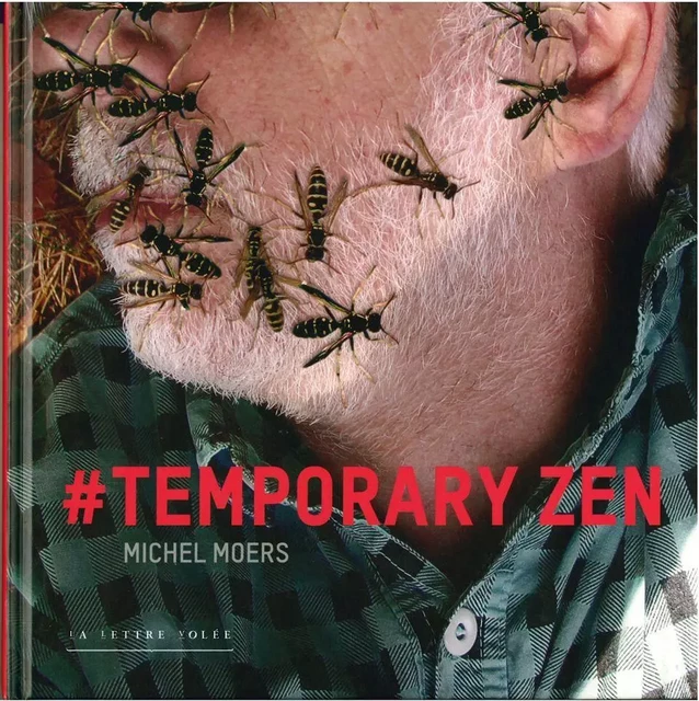 Temporary Zen - Michel Moers - La lettre volée