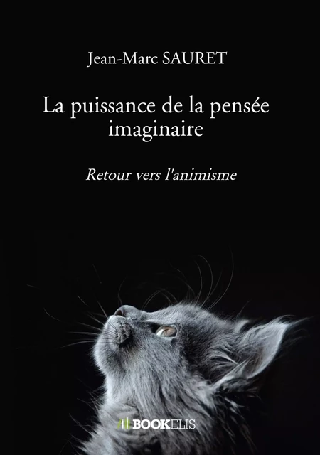 La puissance de la pensée imaginaire - Jean-Marc Sauret - BOOKELIS