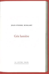 Gris Lumiere