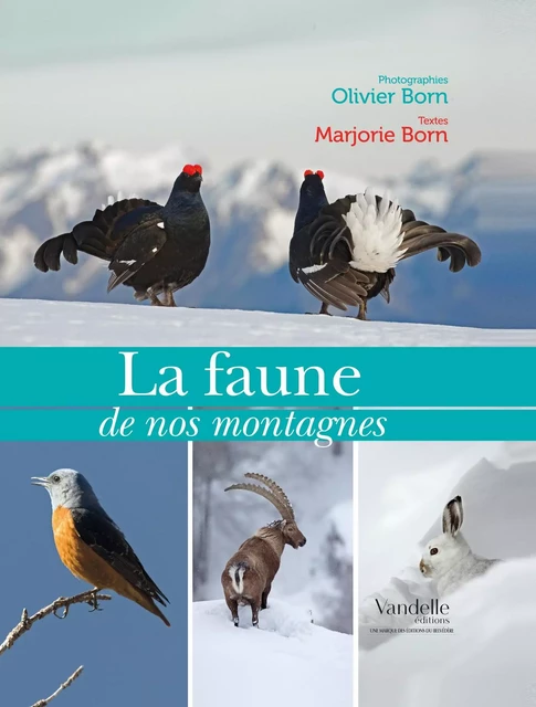 La faune de nos montagnes -  - Vandelle Editions