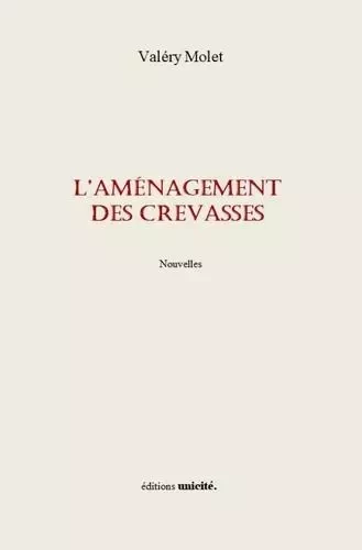 L'aménagement des crevasses - Valéry MOLET - UNICITE