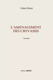 L'aménagement des crevasses