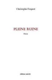 Pleine ruine