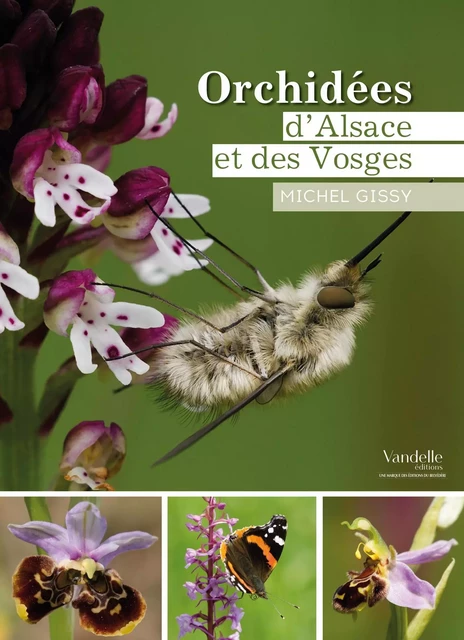 Orchidées d'Alsace et des Vosges -  - Vandelle Editions