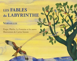 Les fables du labyrinthe - grec, latin, français