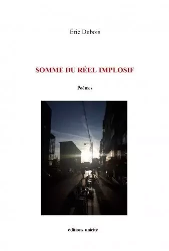 Somme du réel implosif - Eric Dubois - UNICITE