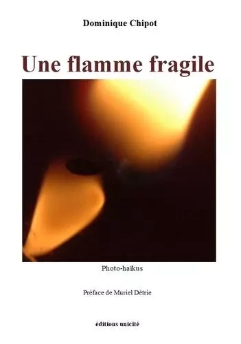 Une flamme fragile - Dominique Chipot - UNICITE