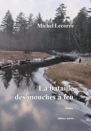 La bataille des mouches a feu