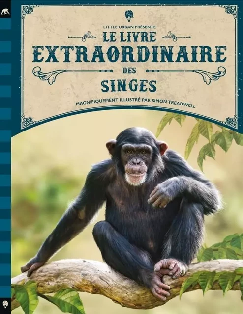 Le Livre extraordinaire des singes -  Taylor Barbara - LITTLE URBAN