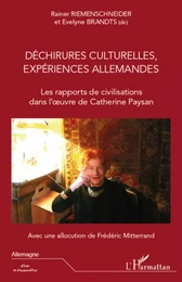 Déchirures culturelles, expériences allemandes