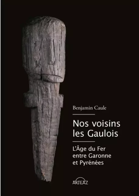 NOS VOISINS LES GAULOIS - BENJAMIN CAULE - ARTEAZ