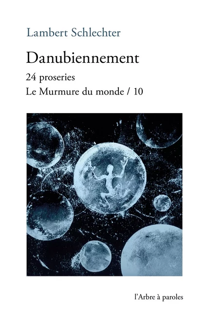 Danubiennement - Lambert Schlechter - ARBRE A PAROLES