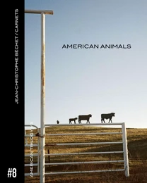 Carnet #8. American Animals.