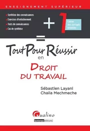 tout pour réussir en droit du travail