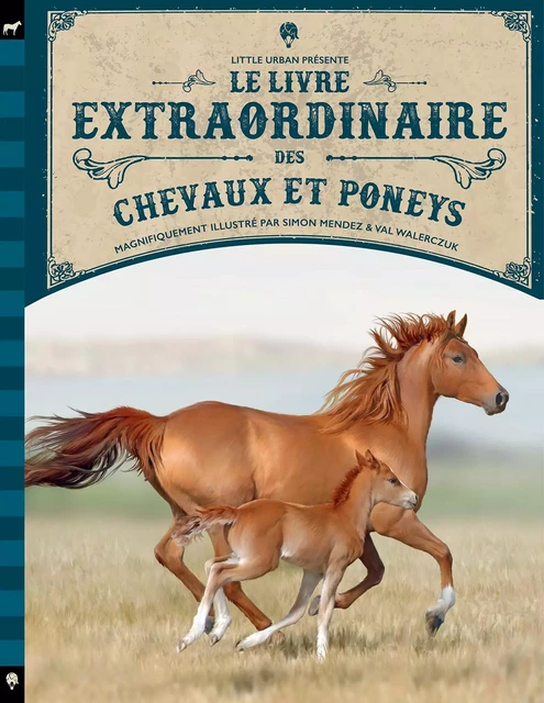 Le Livre extraordinaire des chevaux -  Ferguson Diana,  JACKSON TOM - LITTLE URBAN