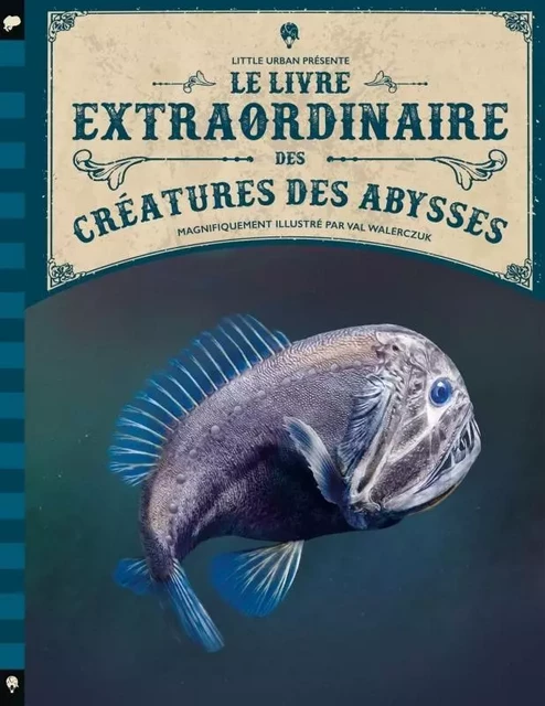 Le Livre extraordinaire des créatures des abysses -  Hestermann Bethanie,  Hestermann Josh - LITTLE URBAN