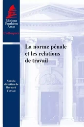 LA NORME PÉNALE ET LES RELATIONS DE TRAVAIL