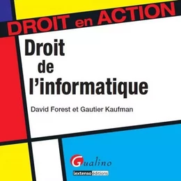 droit de l'informatique