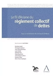 le fil d'ariane du règlement collectif de dettes