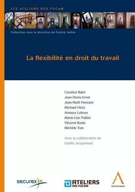 LA FLEXIBILITÉ EN DROIT DU TRAVAIL -  Collectif - ANTHEMIS