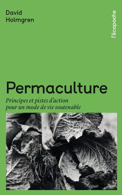 Permaculture - Principes et pistes d'action pour un mode de - David HOLMGREN - RUE ECHIQUIER