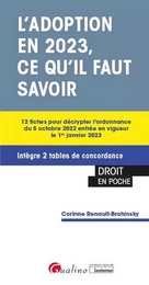 L'adoption en 2023, ce qu'il faut savoir