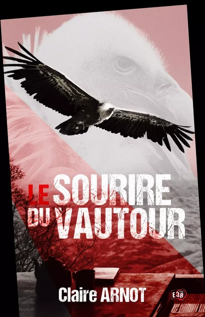 Le Sourire du Vautour - Claire Arnot - Les éditions du 38