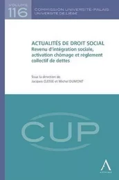 ACTUALITÉS DE DROIT SOCIAL - REVENU D'INTÉGRATION SOCIALE, ACTIVATION CHÔMAGE ET