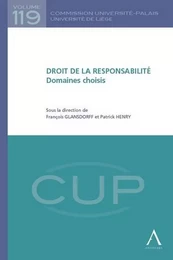 DROIT DE LA RESPONSABILITÉ - DOMAINES CHOISIS