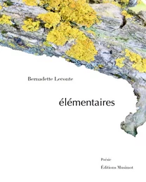 Élémentaires