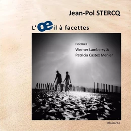 L'œil à facettes