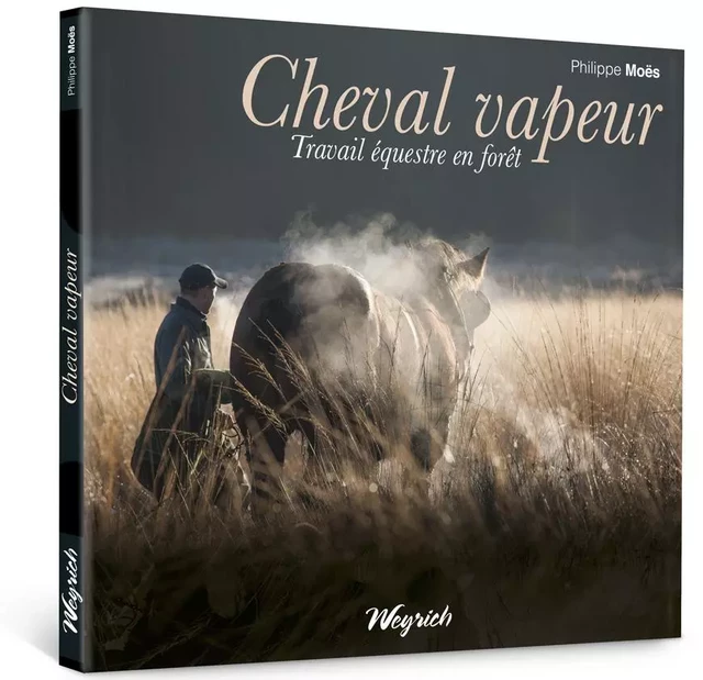 CHEVAL VAPEUR-TRAVAIL EQUESTRE EN FORET -  MOES PH. - WEYRICH