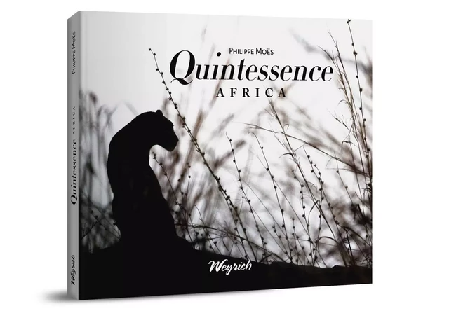 Quintessence Africa - Philippe Moës - WEYRICH