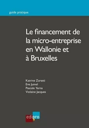 LE FINANCEMENT DE LA MICRO-ENTREPRISE EN WALLONIE ET À BRUXELLES